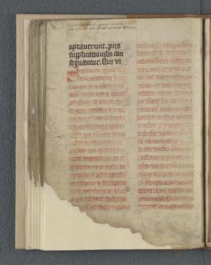 [Pseudo-Hieronymus: Psalterium Abbreviatum]