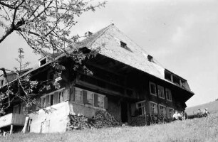 Todtnauberg: Schwarzwaldhaus am Hang; seitlich; Vordergrund Baum
