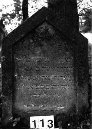 Grabstein 113 (Index: 99897300) Maße HxBxT: 91x60x10 cm: Grabstein 113