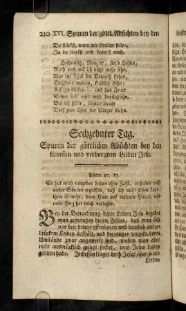 210-221, XVI. Spuren der goettlichen Absichten ...