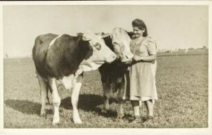 [Frau mit Kühen]