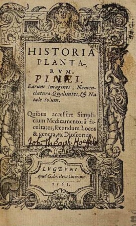 Historia Plantarvm : Earum Imagines, Nomenclaturae & Qualitates, et Natale Solum. Quibus accessere Simplicium Medicamentoru[m] facultates, secundum Locos & genera, ex Dioscoride