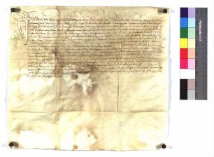 Lehenrevers des Ulrich von Stotzingen zu Dellmensingen, zugleich als Lehensträger der Kinder seines Bruders Hans Martin von Stotzingen, die ihren Anteil von Maximilian, Sohn Sigismunds von Stotzingen eingetauscht haben, und des Maximilian von Stotzingen, für Propst Johann Christoph von Ellwangen über Burg Dellmensingen mit dem großen und kleinen Zehnten und der Fischenz in der Westernach.