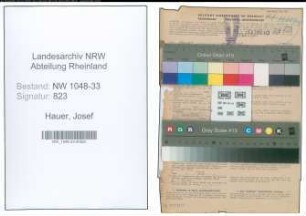 Entnazifizierung Josef Hauer , geb. 12.02.1890 (Lehrer)