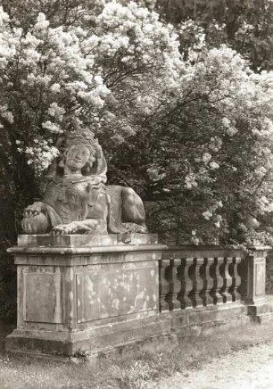 Radmeritz (Radomierzyce). Schloss Joachimstein (Pałac Radomierzyce). Sphinx am Eingang des ehem. Ehrenhofes, Sandstein
