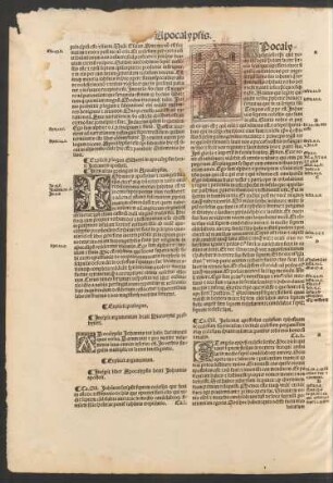 Item alius prologus in Apocalypsim.