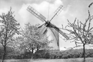 Syrau. Turmholländer, Baujahr 1887, Ansichtskarte