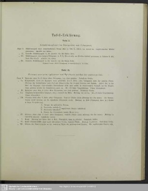 Tafel-Erklärung