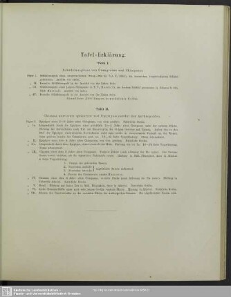 Tafel-Erklärung