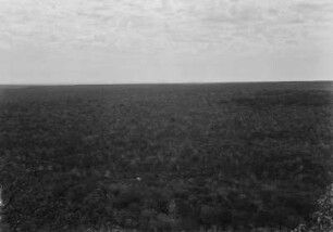 Landschaftsaufnahme : Blick auf eine bewaldete Fläche nahe Nioaque.