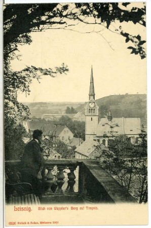 Leisnig. Blick von Wapplers Berg auf Tragnitz