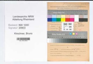 Entnazifizierung Bruno Kirschner, geb. 01.07.1908 (Kaufmann)