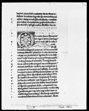 Homilien — Initiale Q, Folio 7recto