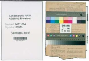 Entnazifizierung Josef Kienegger , geb. 27.02.1899 (Regierungsrat)