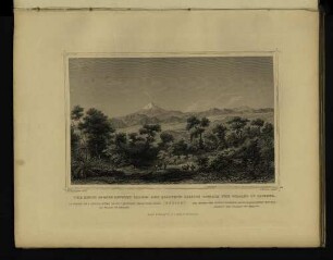 The Region of oaks between Ialapa and Quautepec and looking towards the volcano of Orizava.