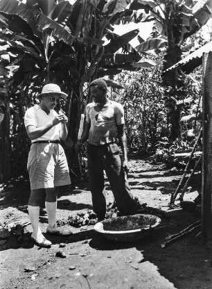 Zuckerrohrprobe : Dr. Günter Wolff (links) während einer Zuckerrohrprobe auf einer Plantage bei Malabo.