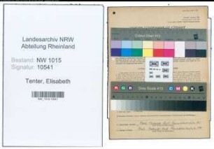 Entnazifizierung Elisabeth Tenter , geb. 12.04.1908 (Gastwirtin)