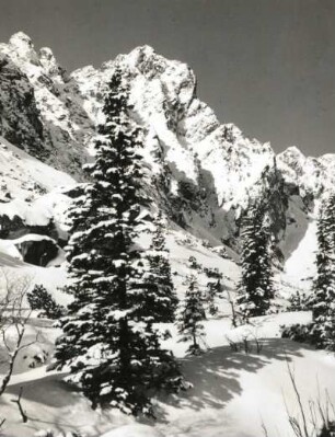 Hohe Tatra. Kleines Kohlbach-Tal (Malá Studena dolina). Blick zum Gipfel des Prostredný hrot