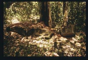 Altamira, Stela 5 (ALM: St. 5)