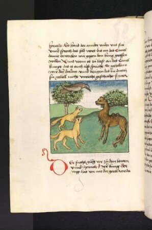 Die drei Gefährten des Löwens und das Kamel; (Kapitel II: Vom Löwen und dem Ochsen)