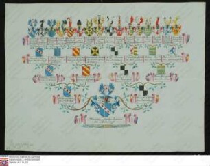 Ahnenprobe des Franz Amandus Antonius v. Hedesdorff. ?-augefertigt 1778 Februar 26, Pergament