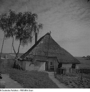 Groß Zicker. Pfarrwitwenhaus, Eingangsseite (nach 1700, Umbau 19. Jh.)