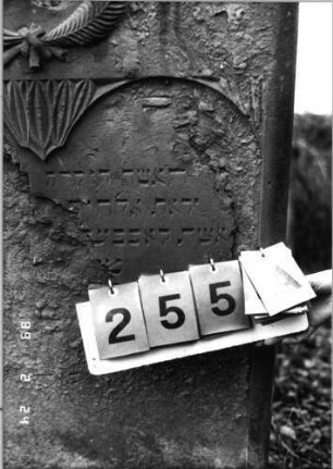 Grabstein 255 (Index: 99752177) Material: Sandstein Zustand: Schrift abgeblätt. m. fast völl. Textverl. Maße HxBxT: 125x78x11 cm Beschreibung: Stele, giebelart. Abschl. , Schriftfeld eingetieft mit zweibogigem Abschluß Symbolik: Kranz aus Palmzweigen, Blätter: Grabstein 255A