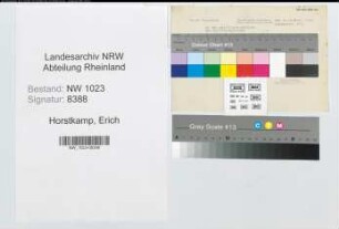 Entnazifizierung Erich Horstkamp , geb. 20.02.1909 (Schreiner)