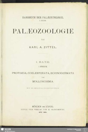 Abth. 1, Bd. 1: Protozoa, Coelenterata, Echinodermata und Molluscoidea