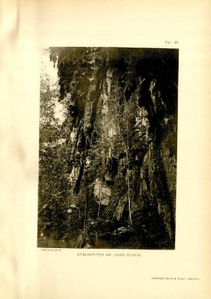 Taf. 42. Stalaktiten am Liang Bubuk