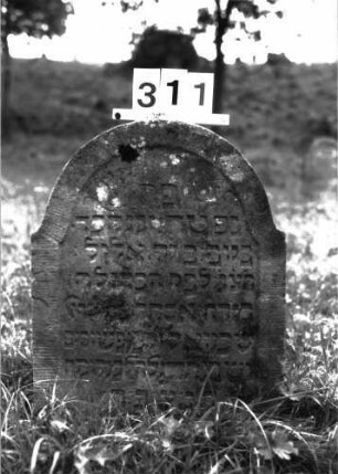 Grabstein 311