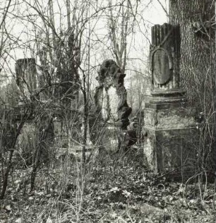 Neuer Annenfriedhof, Kesselsdorfer Straße