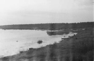 Landschaft : Blick auf das Ufer eines Gewässers.