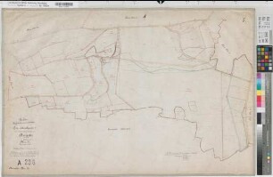 Amecke (Sundern), Teilung der Feldmark Amecke, Bl.8 Brouillonkarte 2 Flur 13