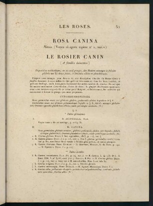 51-52, Rosa Canina (Nitens.) Le Rosier Canin (A feuilles luisantes.)