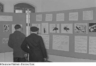 Besucher vor Schautafeln