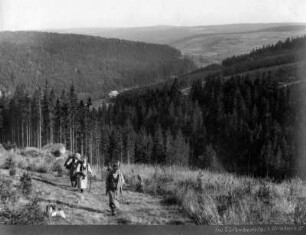 Waldarbeiter im Tiefenbachtal