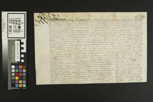 Ingelheimer Grund: Freiheitsbrief gegen den Adel im Ingelheimer Grund