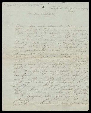 Brief von Louis Spohr an Wilhelm Spohr