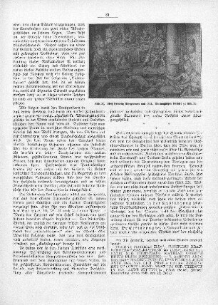 Abb. 21. Stich Heinrich Aldegrevers von 1554. Mutmaßliches Vorbild zu Abb. 20