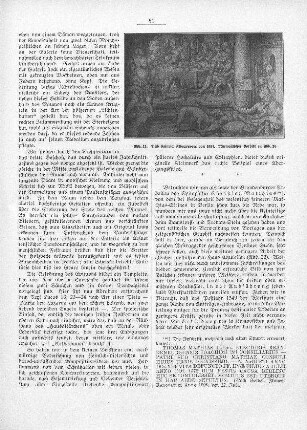 Abb. 21. Stich Heinrich Aldegrevers von 1554. Mutmaßliches Vorbild zu Abb. 20