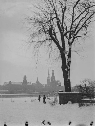 Dresden. Blick vom Neustädter Elbufer zur Altstadt