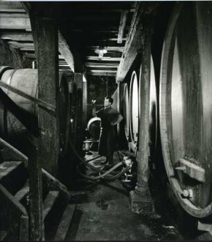 Der Winzerkeller in Ihringen am Kaiserstuhl