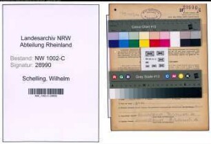 Entnazifizierung Wilhelm Schelling, geb. 12.10.1901 (Haendler)