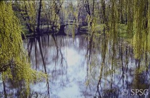Berlin, Schlossgarten Charlottenburg, Blick über den Karpfenteich.