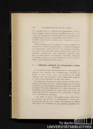 V. - Utilisation rationelle des Pélargoniums á feuilles de Lierre.