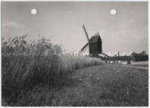 Kaltenweide, Erntezeit