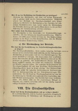 VIII. Die Strafvorschriften