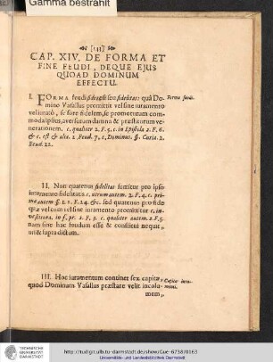 Cap. XIV. De Forma Et Fine Feudi, Deque Ejus Quoad Dominum Effectu.