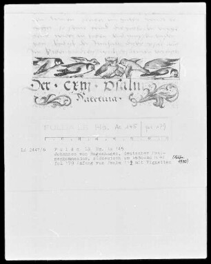 Johannes Bugenhagen, Psalmenkommentar — Vignette mit diversen Vögeln und einem Kauz, Folio 179recto